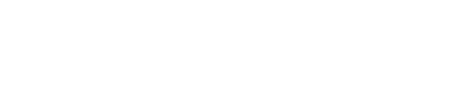 The Lewis Agency LLC